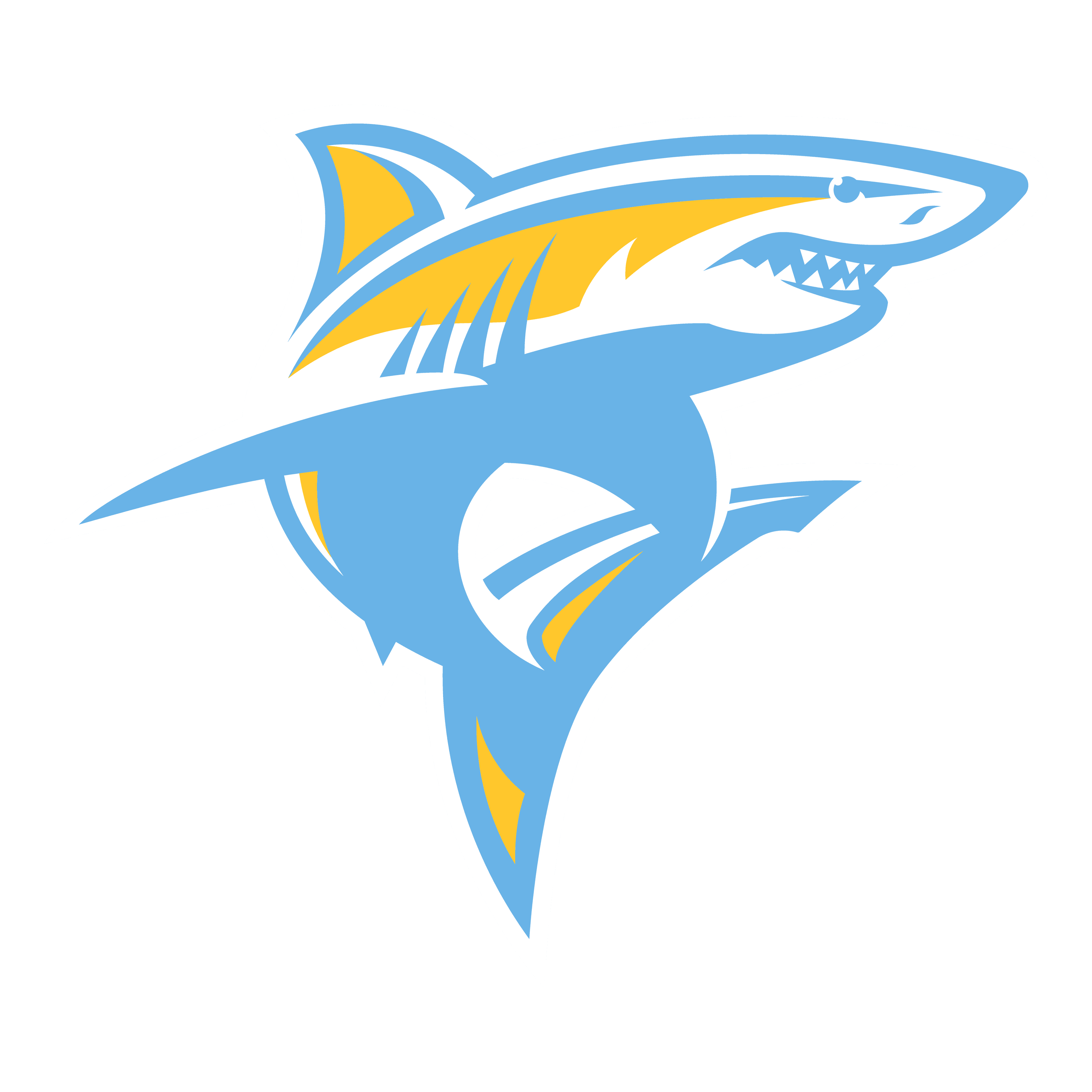 Long Island University Sharks